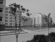 新社区